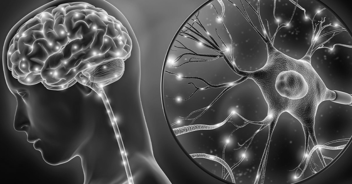 Understanding Neurodegenerative Diseases: Causes, Symptoms, and Treatment Options