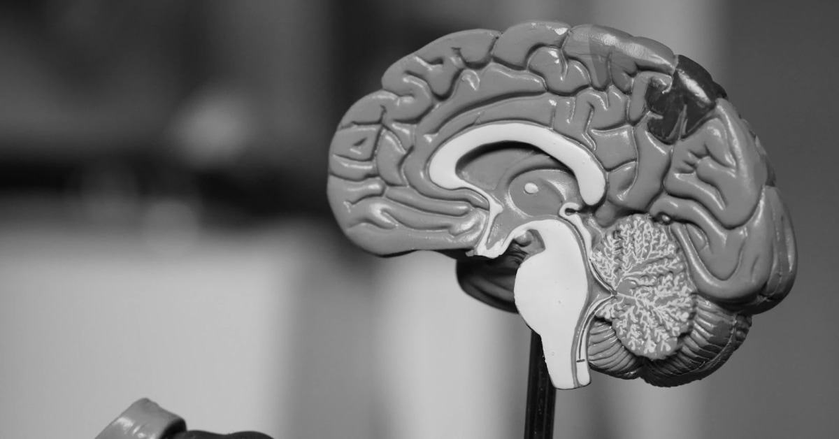 Types of Neurodegenerative Diseases: Understanding the Impact on Brain Health